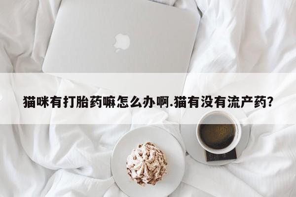 堕胎药在线付款猫咪有打胎药嘛怎么办啊.猫有没有流产药？