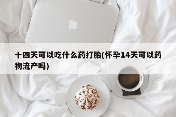 堕胎药在线付款十四天可以吃什么药打胎(怀孕14天可以药物流产吗)