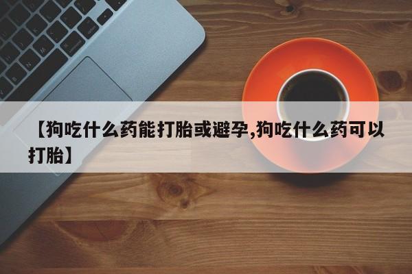 堕胎药在线付款【狗吃什么药能打胎或避孕,狗吃什么药可以打胎】